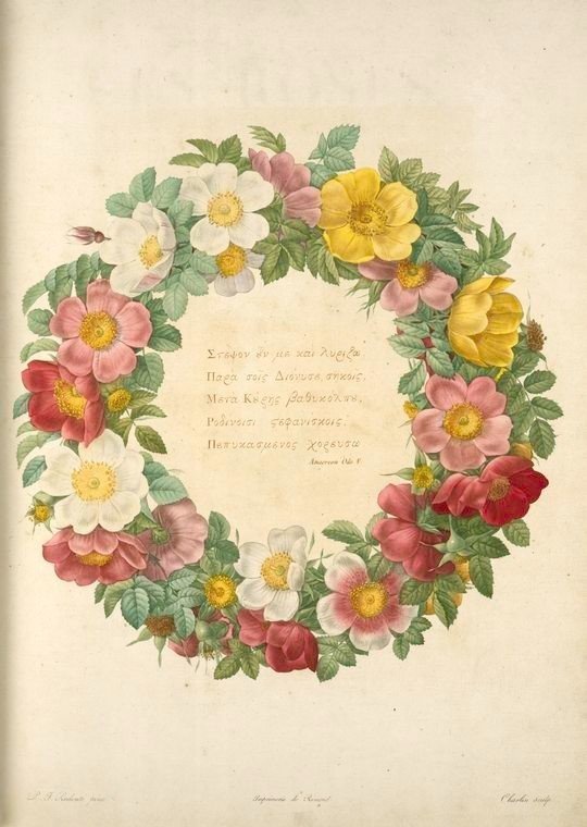 2417) 掛軸・額装 本紙 書 まとめて14枚 表装ものがたり | 書籍,美術書