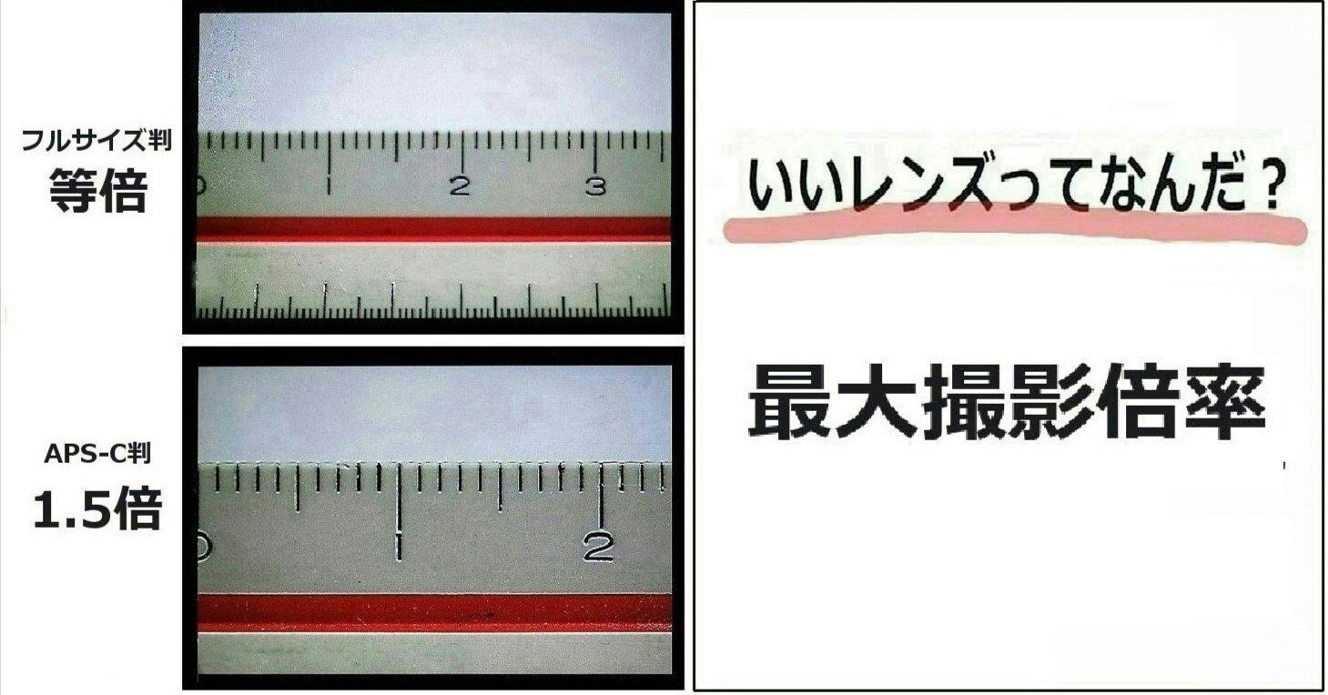 最大撮影倍率」の表記数値には隠された謎がある｜thisistanaka