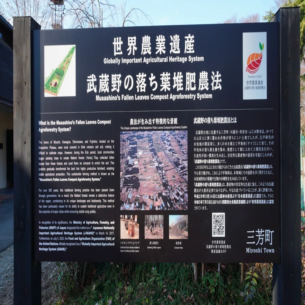 世界農業遺産「武蔵野の落ち葉堆肥農法」｜宍戸俊悟
