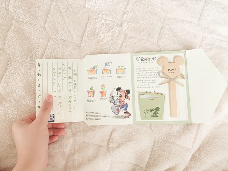 手紙 ゆうちゃん先生 Note