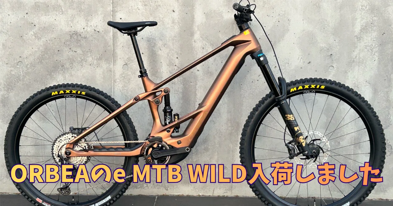 BIKE SHOP FORZA マウンテンバイク - 2026-01|BIKE SHOP FORZA の BIKE SHOP FORZA マウンテンバイク - 2026-01|BIKE SHOP FORZA の