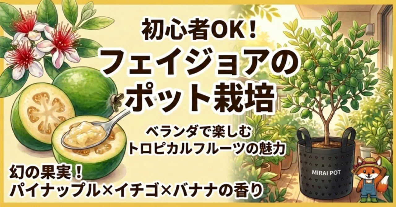 フェイジョア】フェイジョアってどんな果樹？ポット栽培で楽しむ