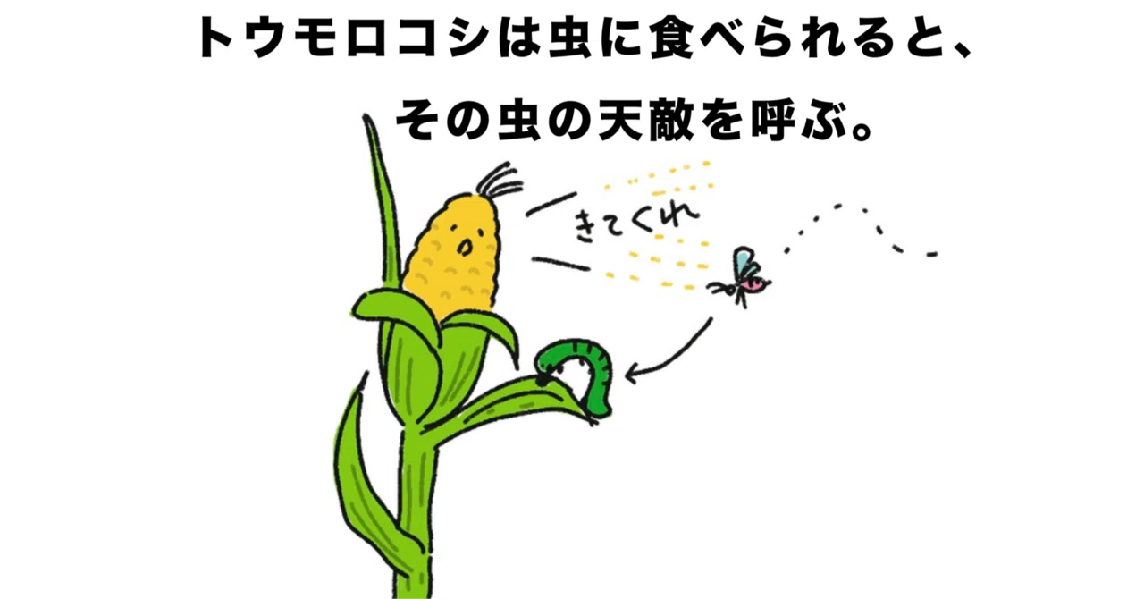 植物にも性格があるらしい。｜TOMO