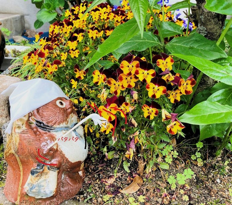 部屋にお花を飾ると 運気 があがる とっ子ちゃん Note