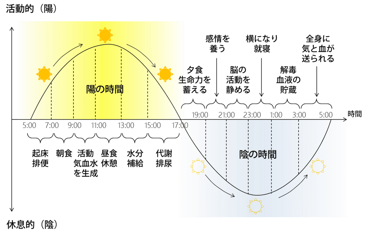 人間のサイクル