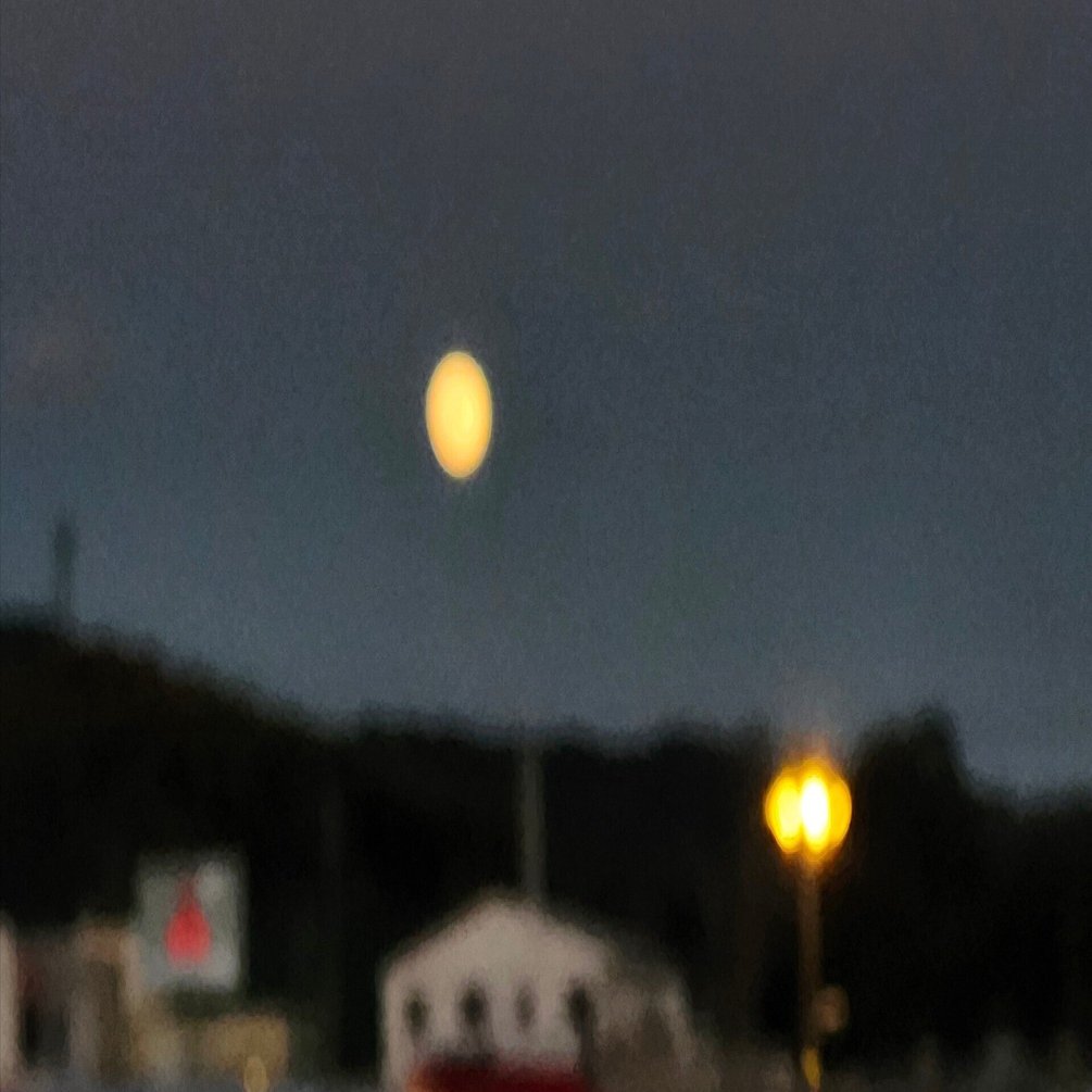 感想⑧20260130｜丸田洋渡