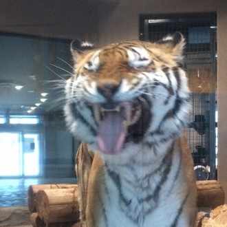 完全感覚dreamer タカシ Note