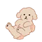 シュガー｜ハハッと笑える毎日を🌟