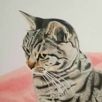 色鉛筆画をうまく描きたい人へ 重ね塗りの実践アドバイス 透明感のある肌の描き方 伊藤和哉 元 ひよっこ色鉛筆画家 Note