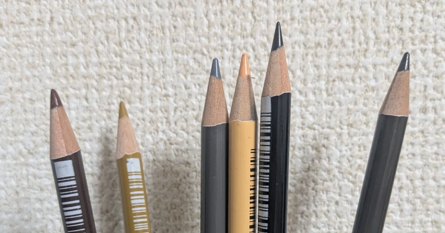 色鉛筆で、タヌキの色探しの旅｜どんぐり子（たぬき絵）