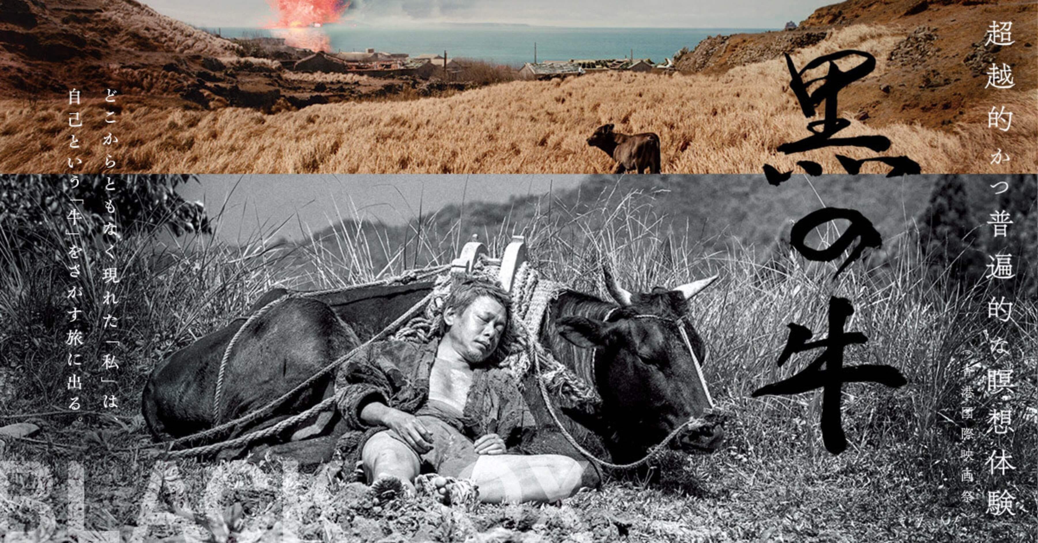 黒の牛』映画感想｜狸谷 玄