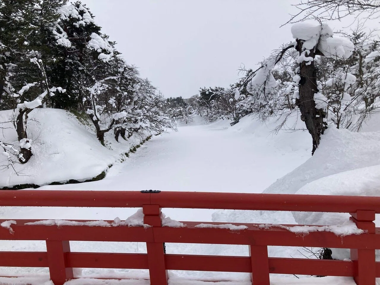 雪化粧の弘前城｜Kanji Science