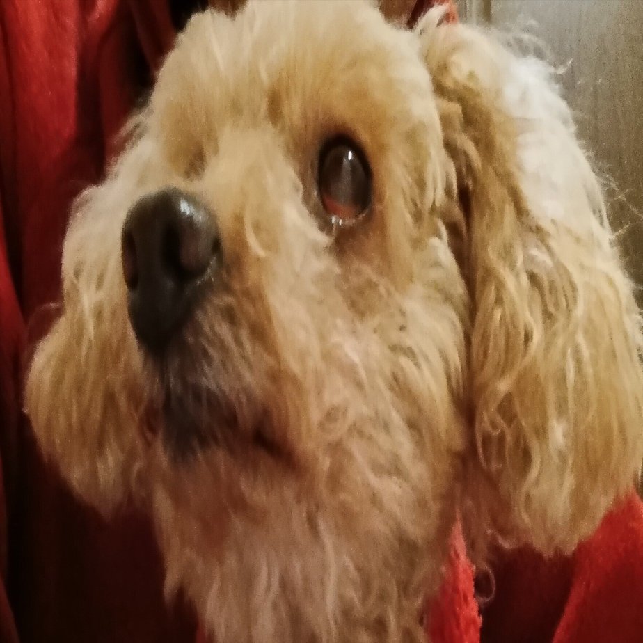 節約｜近藤未来鑑定 近藤 光