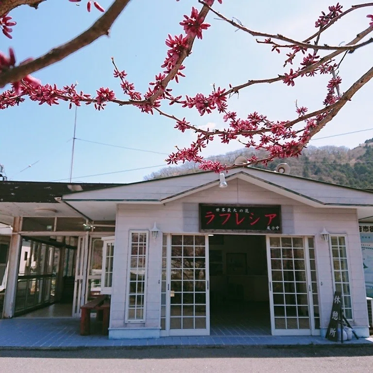 画像16