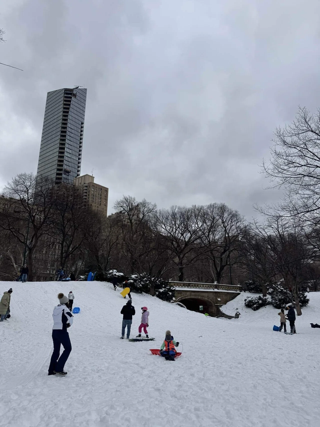 ニューヨークで毎日困ってます】雪のセントラルパーク、流氷のハドソン
