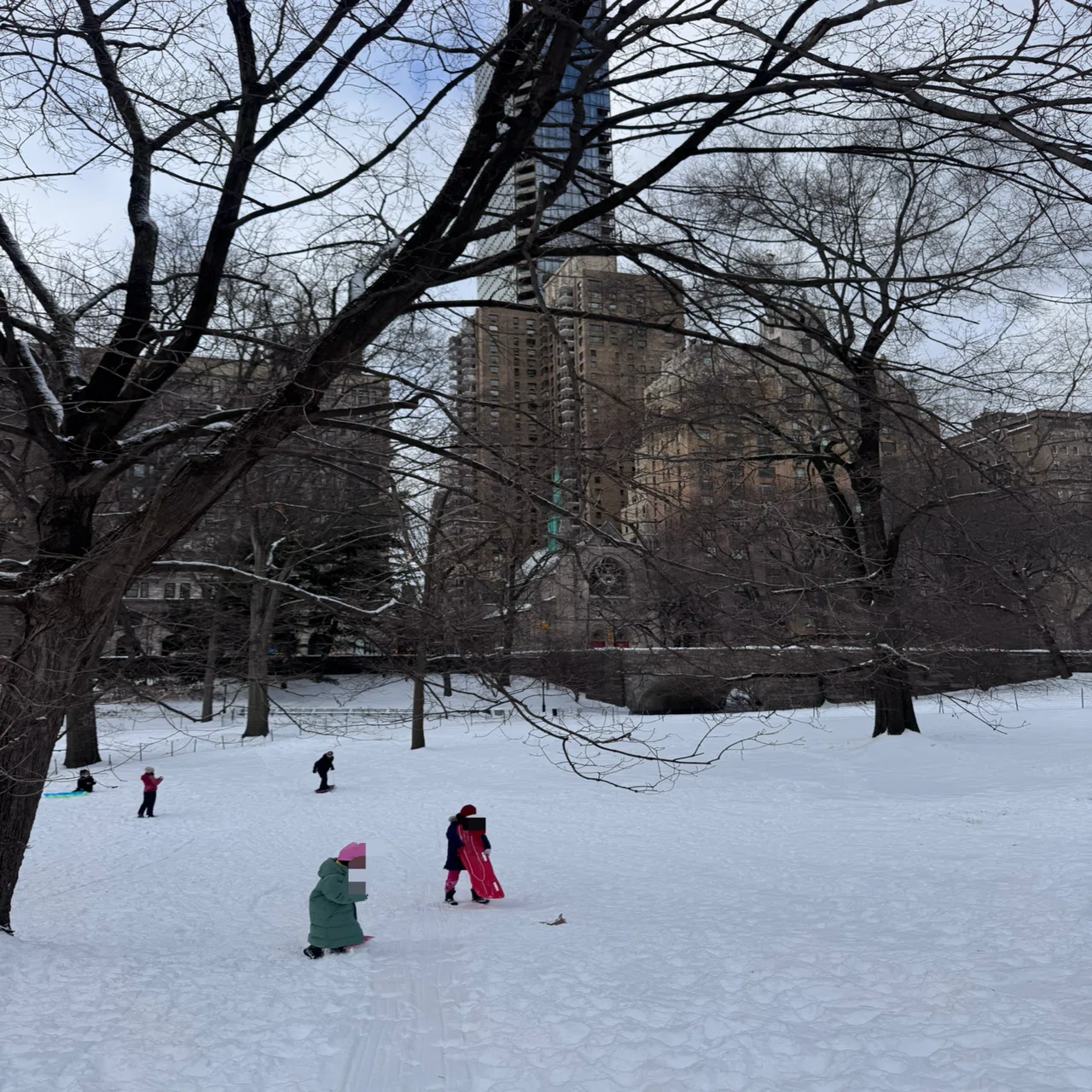 ニューヨークで毎日困ってます】雪のセントラルパーク、流氷のハドソン