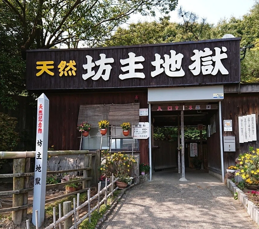 画像24