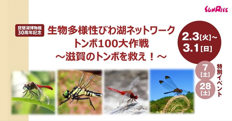 琵琶湖博物館30周年記念「生物多様性びわ湖ネットワーク　トンボ100大作戦～滋賀のトンボを救え！～」が開催されます