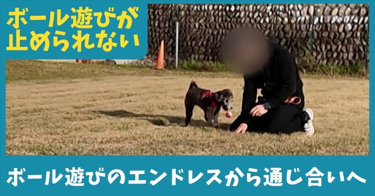 愛犬ともっと通じるために ボール遊びのエンドレスから通じ合いへ