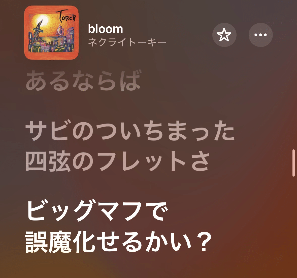 2026/1/26~1/27 ｜mizo