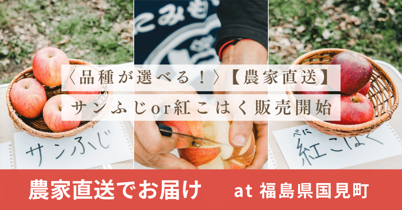 🍎〈品種が選べる！〉【農家直送】サンふじor紅こはく販売開始