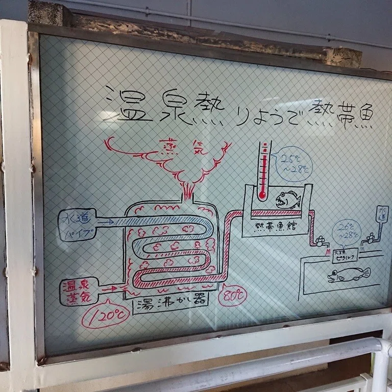 画像47