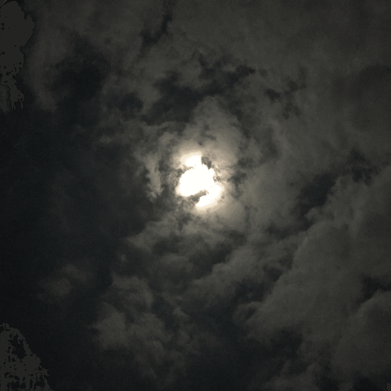 鎌倉に移住して気づいた10のこと その３ 月を愛でるということ 自然は最も身近なエンターテイメントである Mimi Note