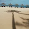 asia_coconut