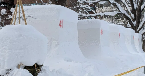 雪は魔物 - 2026-01｜tarchive｜note