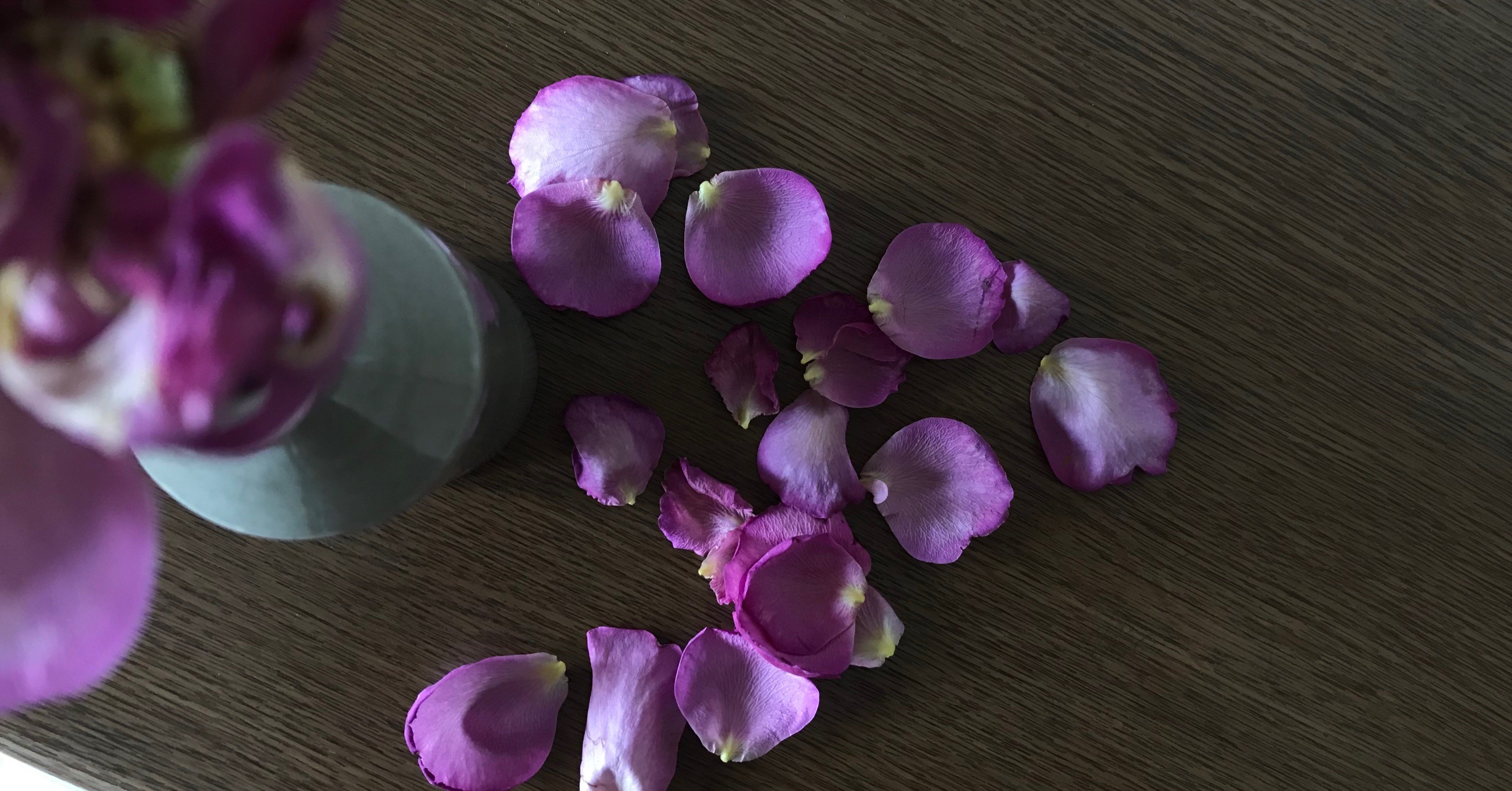 10日間の思い出を残してバラは散った 半田孝輔 Note