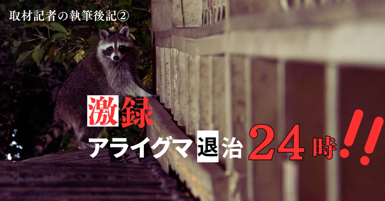 激録・アライグマ退治24時！！～頼むから出ていってください～｜倉本菜