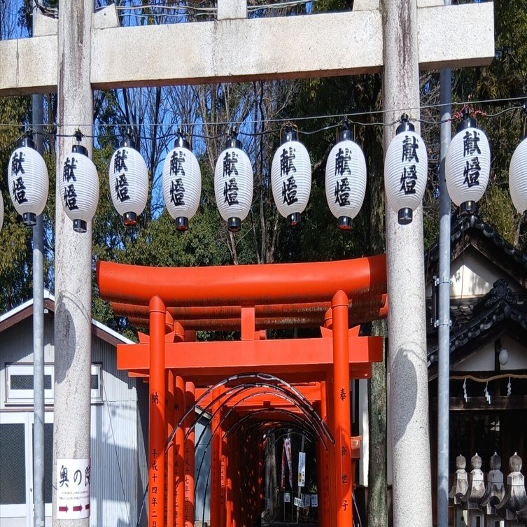 1/27(火)20:00~2/2(月)23:59フォロワー様🎀900名様🎀達成記念10%~30  