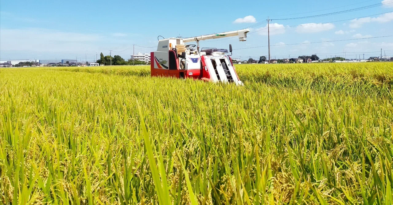 Part 8: Rice Harvesting — The Golden Finale｜農民社労士 (KAWAGOE FARMERS)