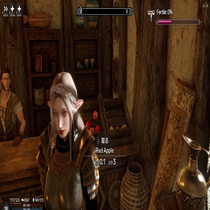 Linux+Skyrim SE(1.6.1170)+SKSE64 2.2.6+MOD環境を構築する（MOD導入編）｜takamitsu_h