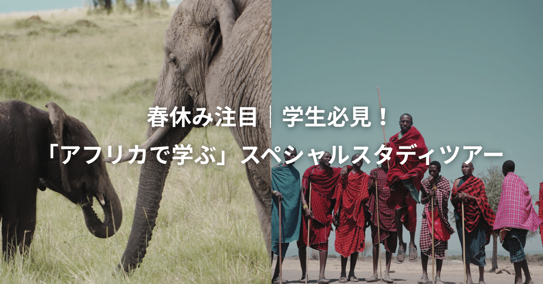 26年春休み注目！｜学生必見！「アフリカで学ぶ」スペシャルスタディ