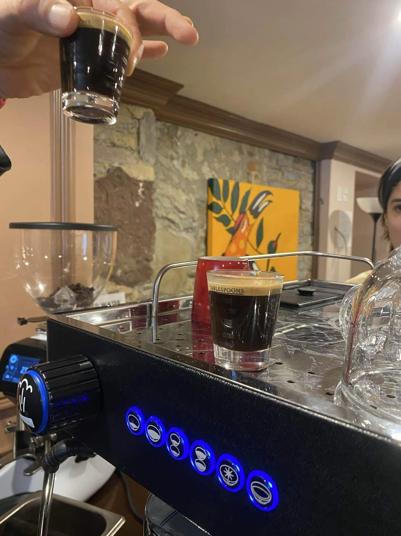 ローカルカフェ巡り20Toronto｜ヌコ【ワーホリ中25歳の写真日記】