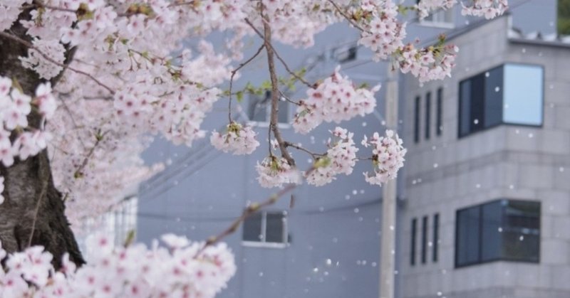 うつと私 受験とうつ病にもがいた高校三年の時 きりしま note