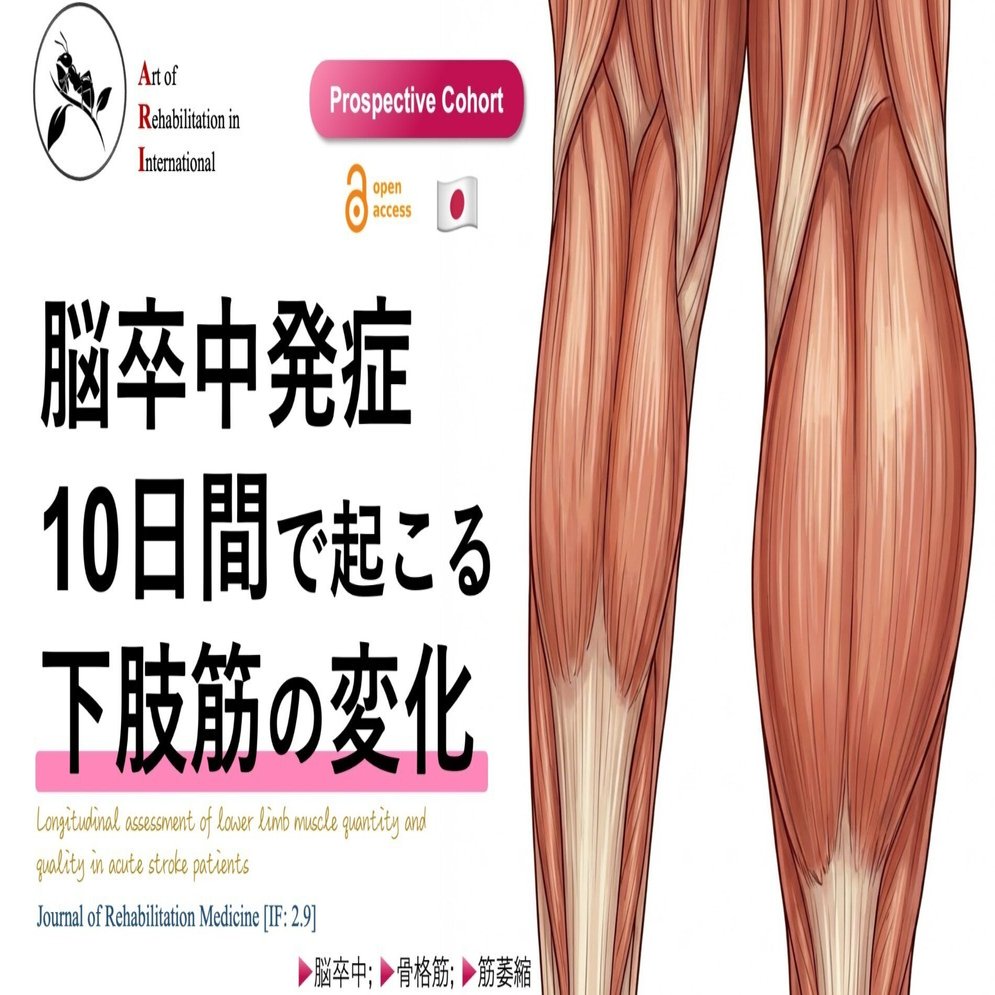 脳卒中発症10日間で起こる下肢筋の変化｜Super Human | 理学療法士