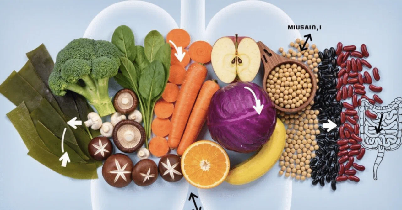Just Being Conscious of Protein Can Change Your Body—Learning Dietary ...
