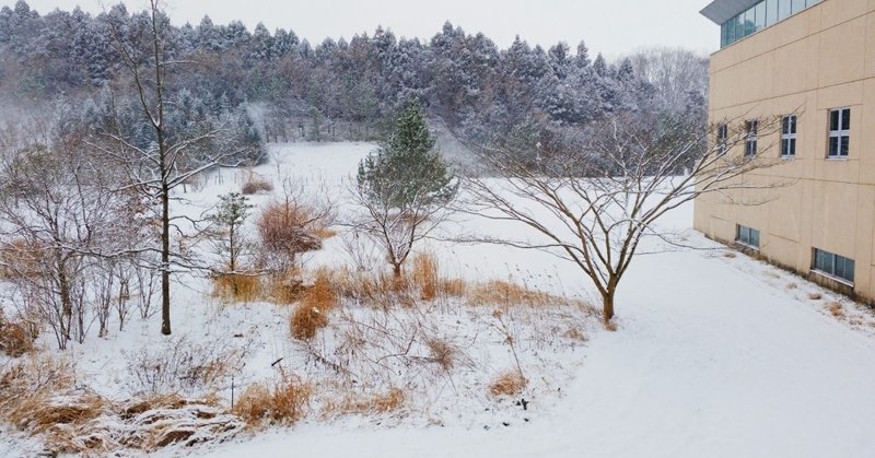 人はみな孤独で等しくひとりぼっちだと おまえまだ気づいてないのか 香織 note