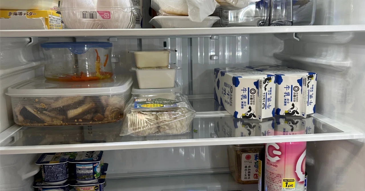 Refrigerator Anthropology｜気ままグラシの鳴き声