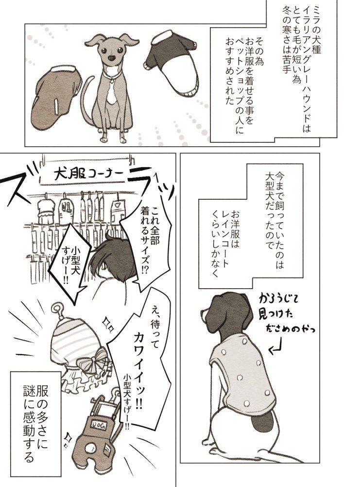 わんにゃん漫画 大型犬飼い主が初めて小型犬を飼い始めた話4 コノハ Note