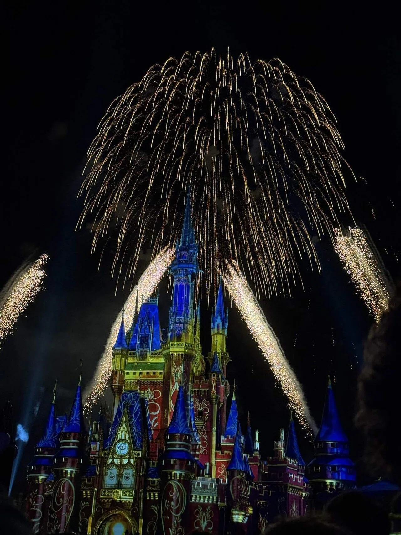 WDW旅行記 Day3 マジックキングダム｜kikulog