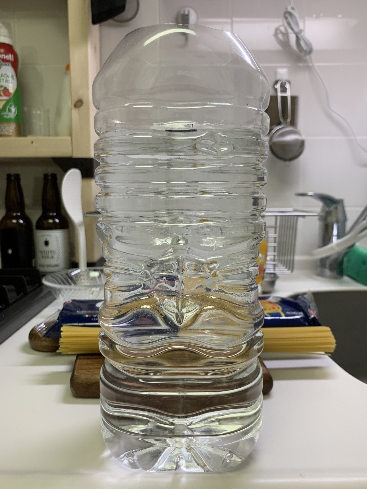 ペペロンチーノ12日目（5月4日）｜ペペロンちえみ