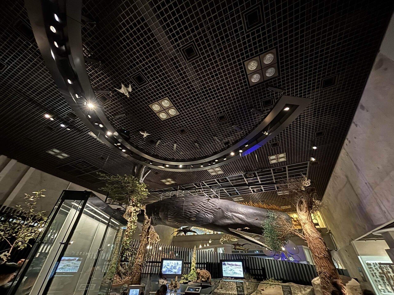 東京旅】国立科学博物館①｜UMI