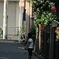 能勢伊勢雄×帯化ラジオ｜帯化/造園計画