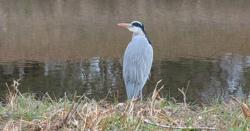 【静】構えず、備える