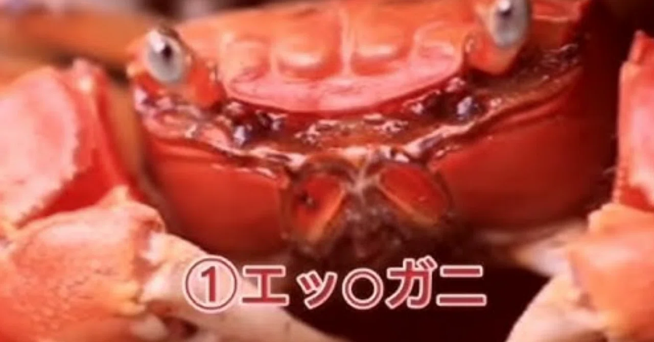 わい「イカれたデッキを紹介するぜ！」クランヴィアデリート編[デッキ