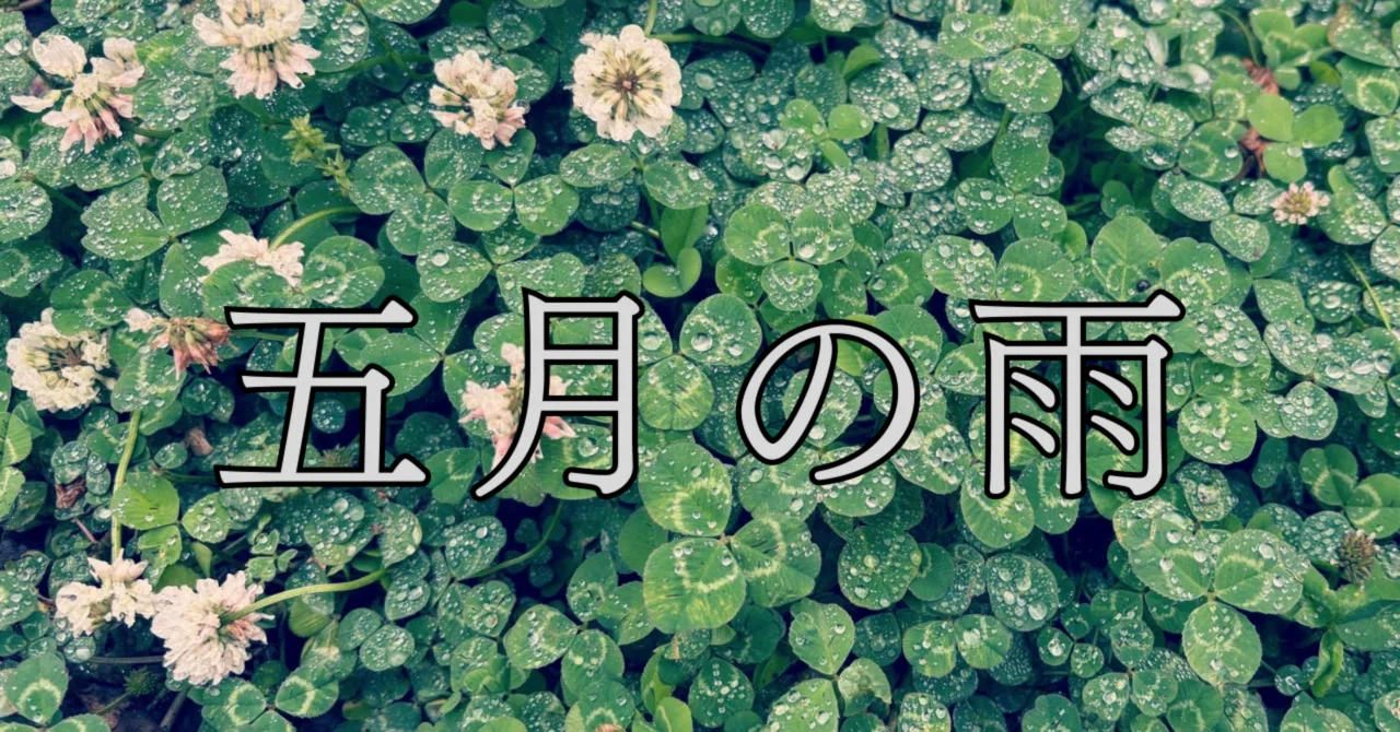 詩|五月の雨|都市博物標本室