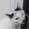 あぽ